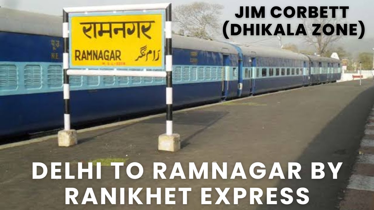 Visiting Dhikala Zone of Jim Corbett || Delhi to Ramnagar by Train || Ranikhet Express