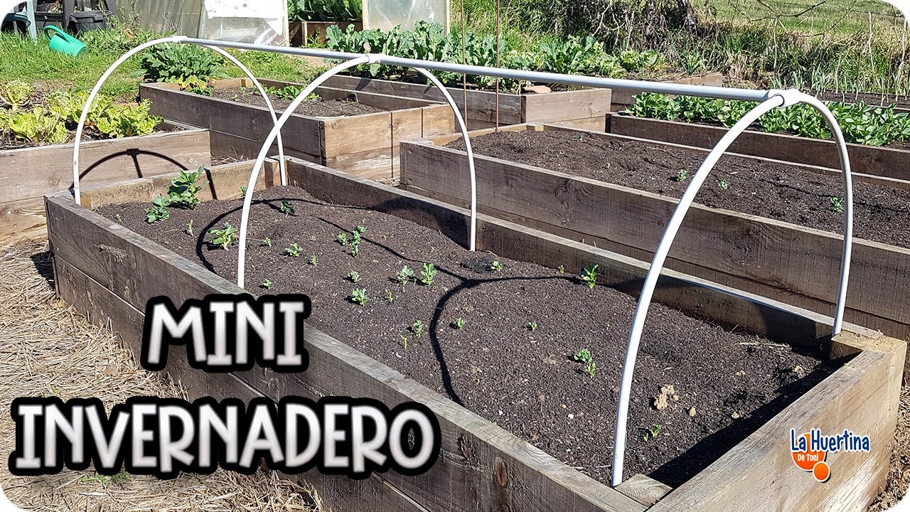 Como Hacer Un Micro-Tunel o Mini Invernadero Con PVC Para El Huerto || La Huertina De Toni