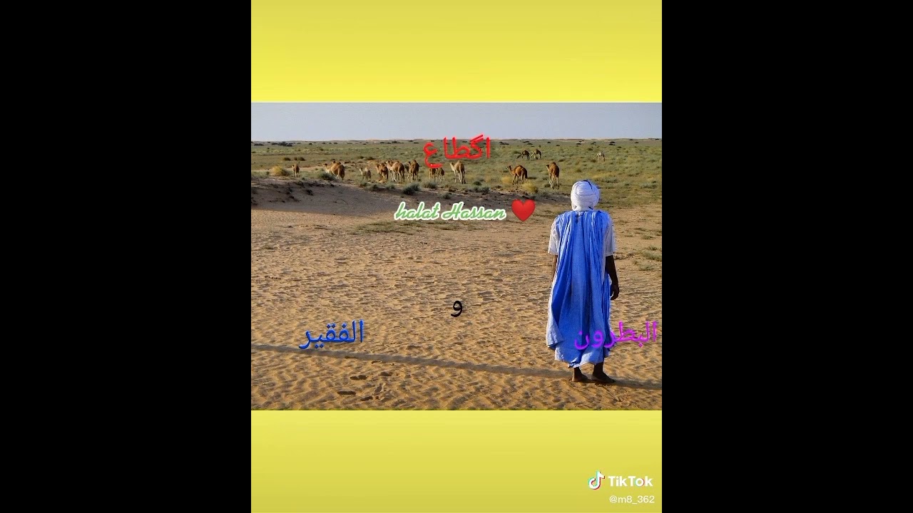 أكطاع بين الفقير والبطرون