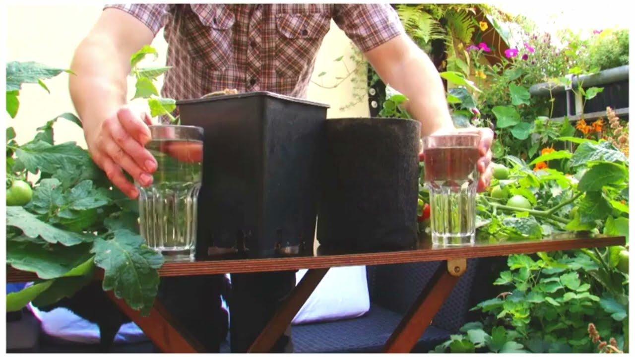 Vergleich Root Pouch Stofftopf vs. Plastiktopf beim Giessen