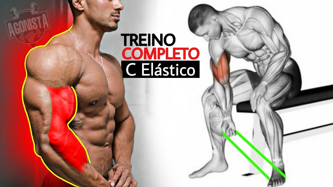 Melhores Exercícios Treino de Biceps Utilizando apenas elásticos