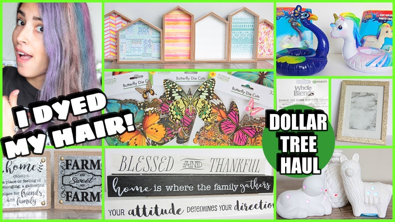 DOLLAR TREE HAUL MAY 2019 NEW FINDS