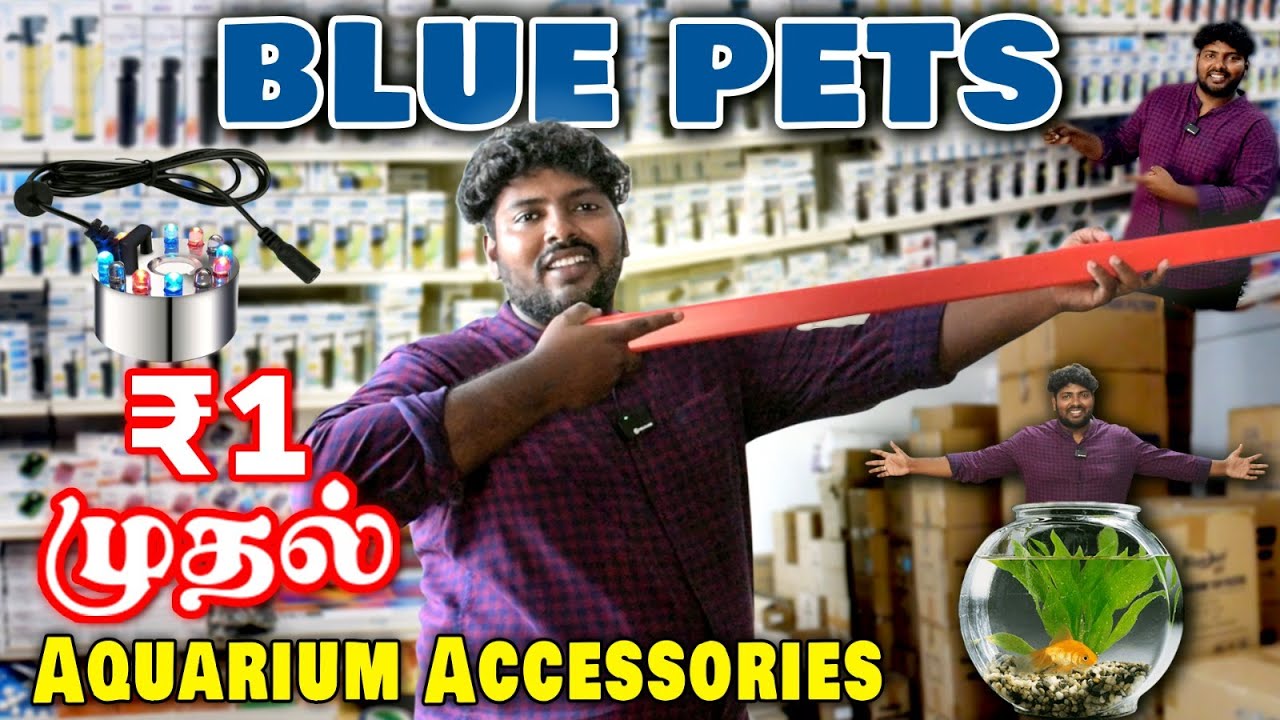 ₹1 முதல் Aquarium Accessories available | Best Aquarium Accessories Shop at Kolathur | Murali's Vlog
