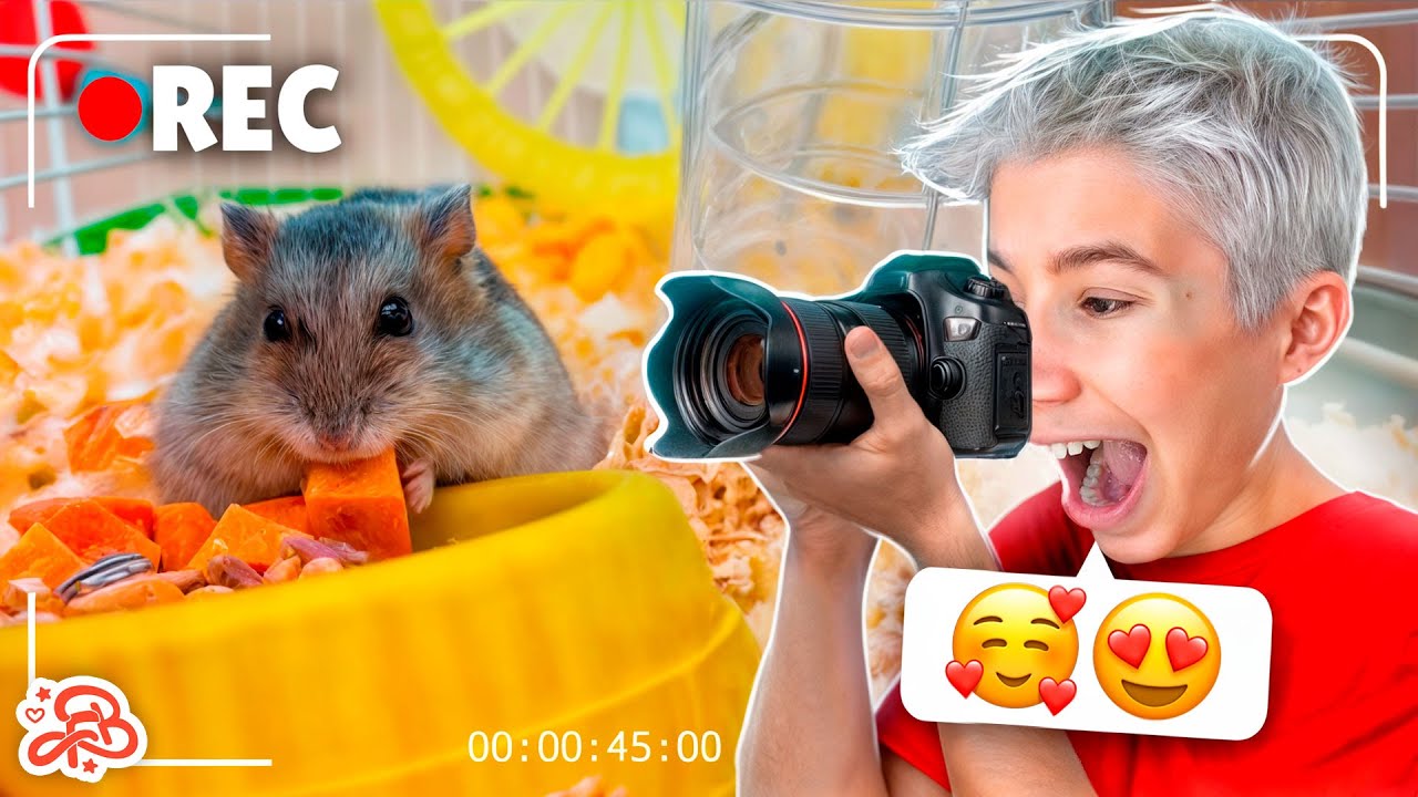 GRAVEI TUDO QUE AS NOSSAS HAMSTERS FAZEM DE MADRUGADA *deu medo?!