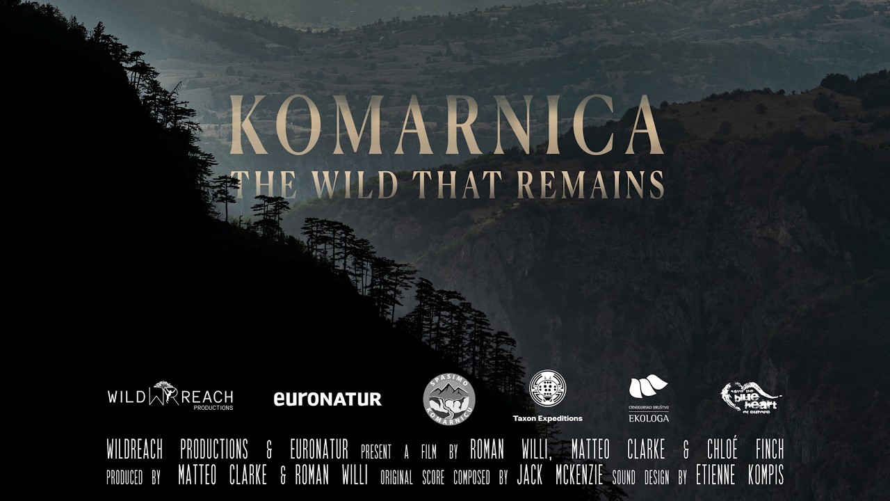 Komarnica: The Wild That Remains (2026) - Full Short Documentary