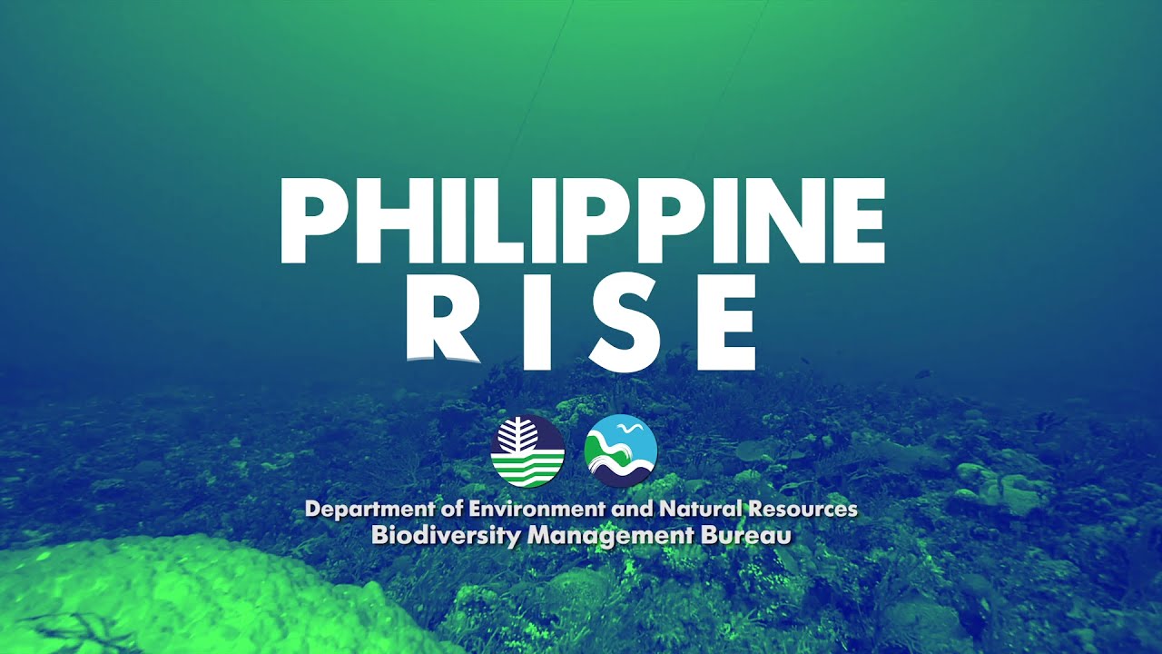 PHILIPPINE RISE INTERSTITIALS 2