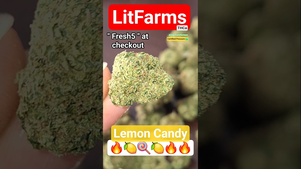 A Summer Classic 🍋🔥😃 LitFarms : Lemon Candy THCa [ Essential ] #Shorts #Loud