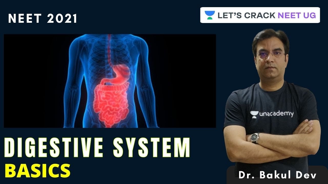Digestive System: Basics | NEET Biology | NEET 2021 | Dr. Bakul Dev