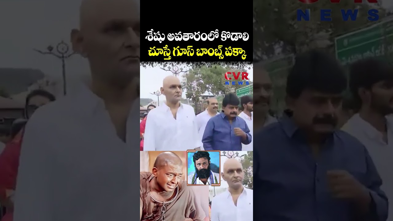 శేషు అవతారంలో కొడాలి చూస్తే గూస్ బాంబ్స్ పక్కా | Kodali Nani | CVR NEWS