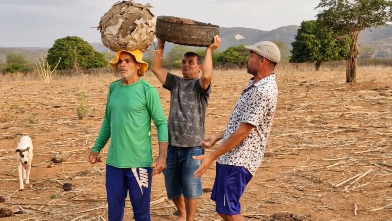 seu Antônio achou um marimbondo gigante  #comedia #pegadinha#humor  #videosengracados