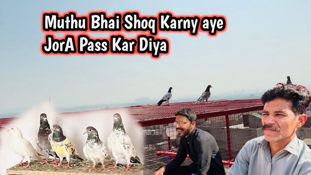Mithu Bhai Or zaigam Bhai Nay Rat Waly Bachy k Baray main Kiya Kaha ?