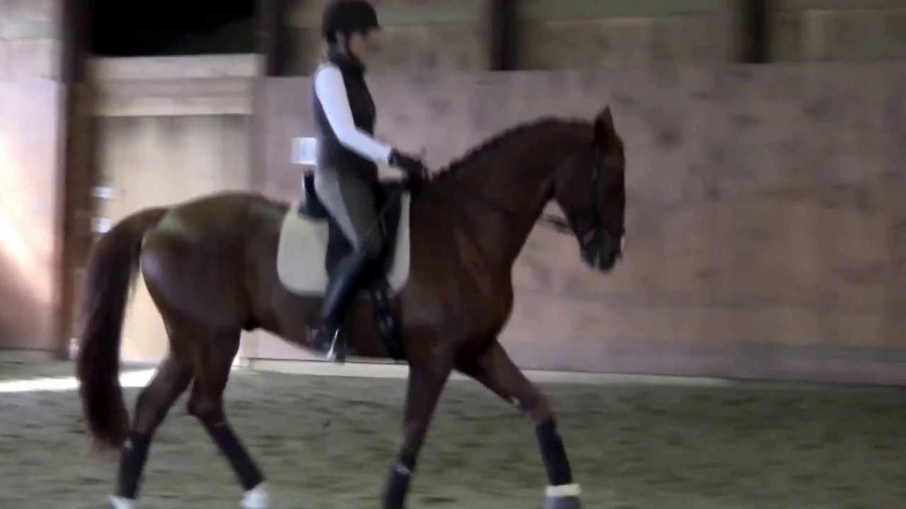 Deej working with Karen Robinson on Musical Freestyle trying trot music