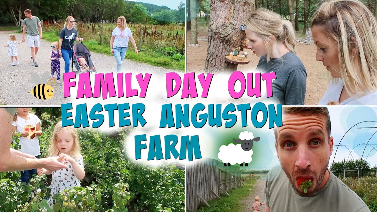 UK Family Vlog | Down on the farm!