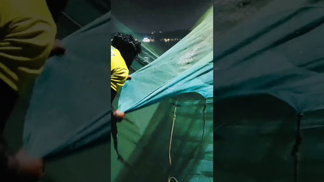  രാത്രിയിലെ ചീനവല കാഴ്ചകൾ. #shortsfeed #kochi #fishing #seafood #fishing 