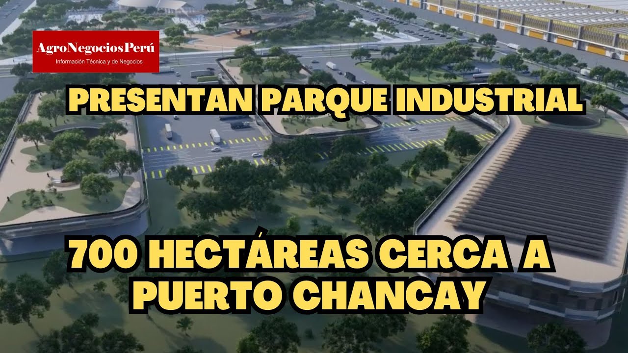 Coreanos interesados en montar fábricas de paneles solares y baterías de litio cerca puerto Chancay