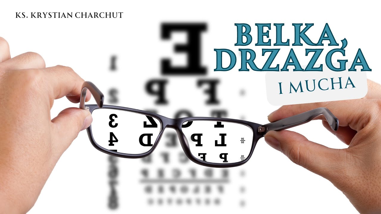 Belka, drzazga i mucha - kazanie - Ks. Krystian Charchut