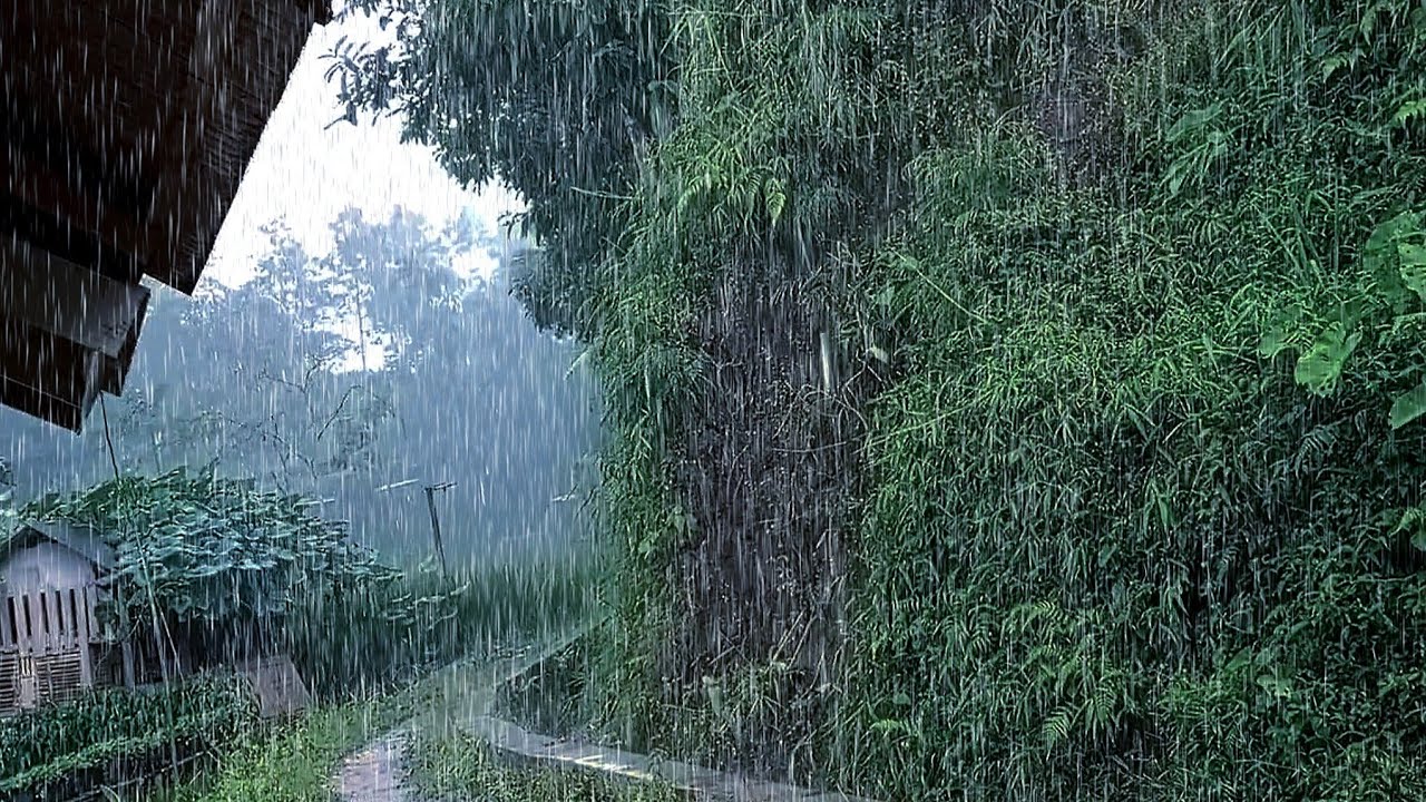 Rain & Thunder Sounds for Sleeping 🌧️ Heavy Storm, Deep Sleep & Stress Relief