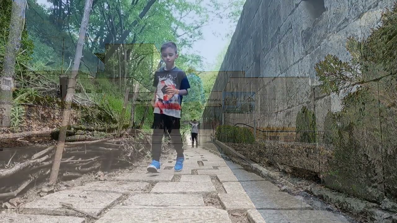 Силистра