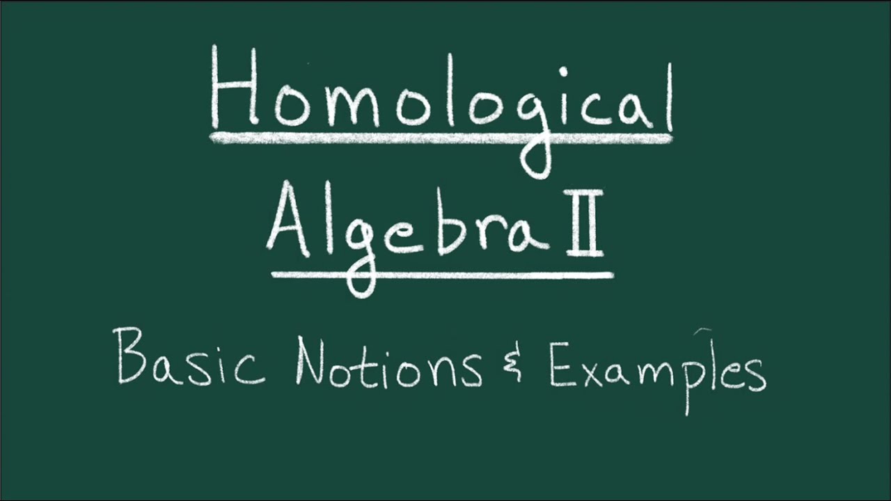 Introduction to Homological Algebra II: Basic Notions & Examples