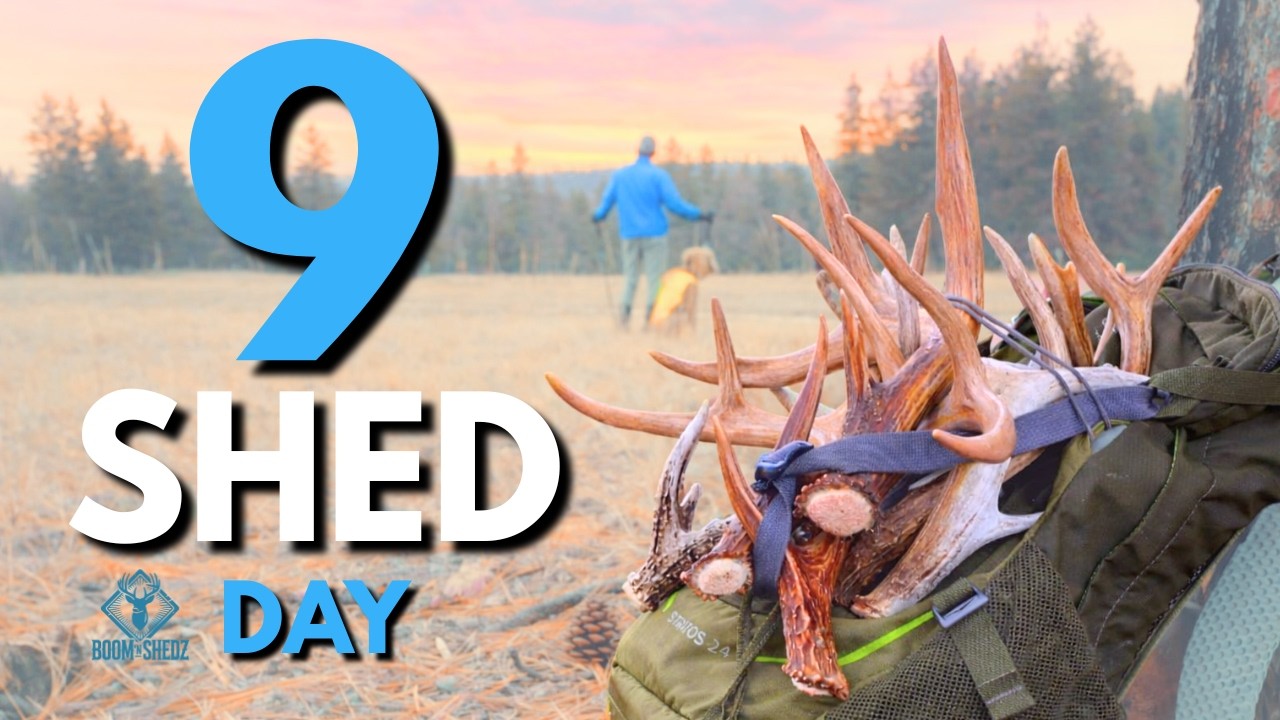 9 Shed Day | Off The Beaten Path - 2026 Ep 2  4K