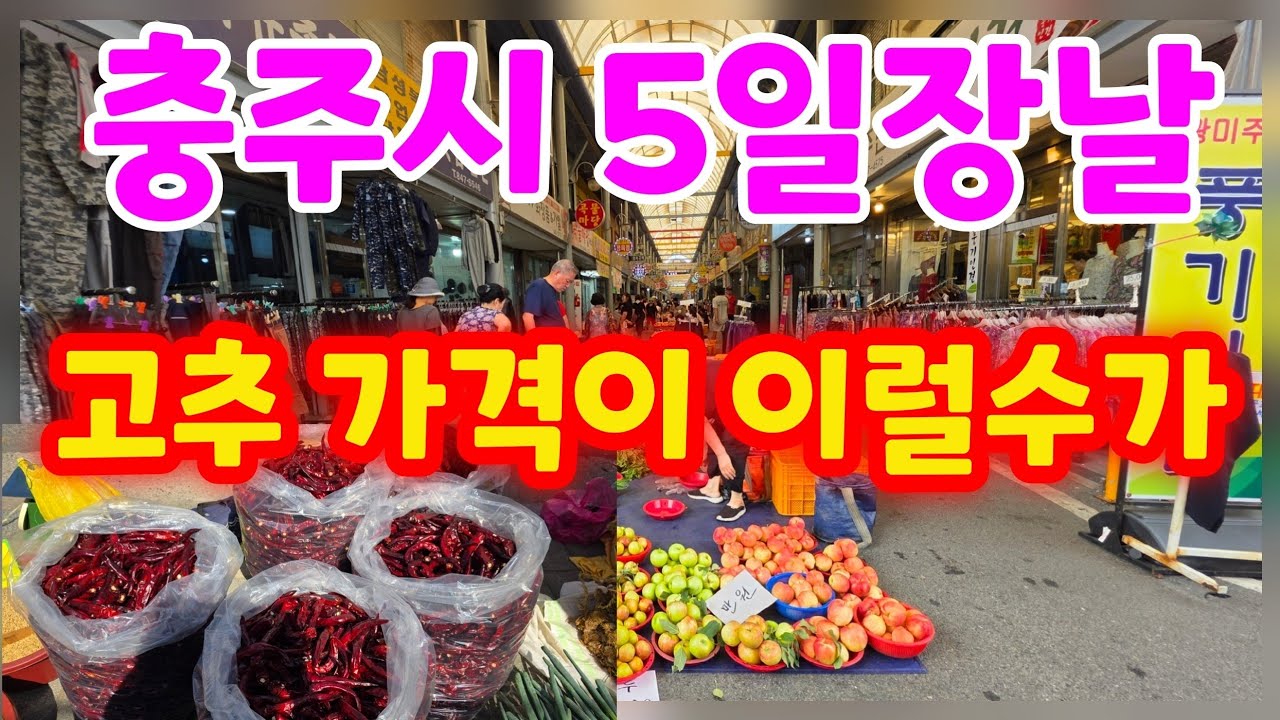 충주 5일장날 햇 고추 한근 가격은 얼마나 할까요 처음 와본 충주 장날 장터가 장난이 아닙니다
