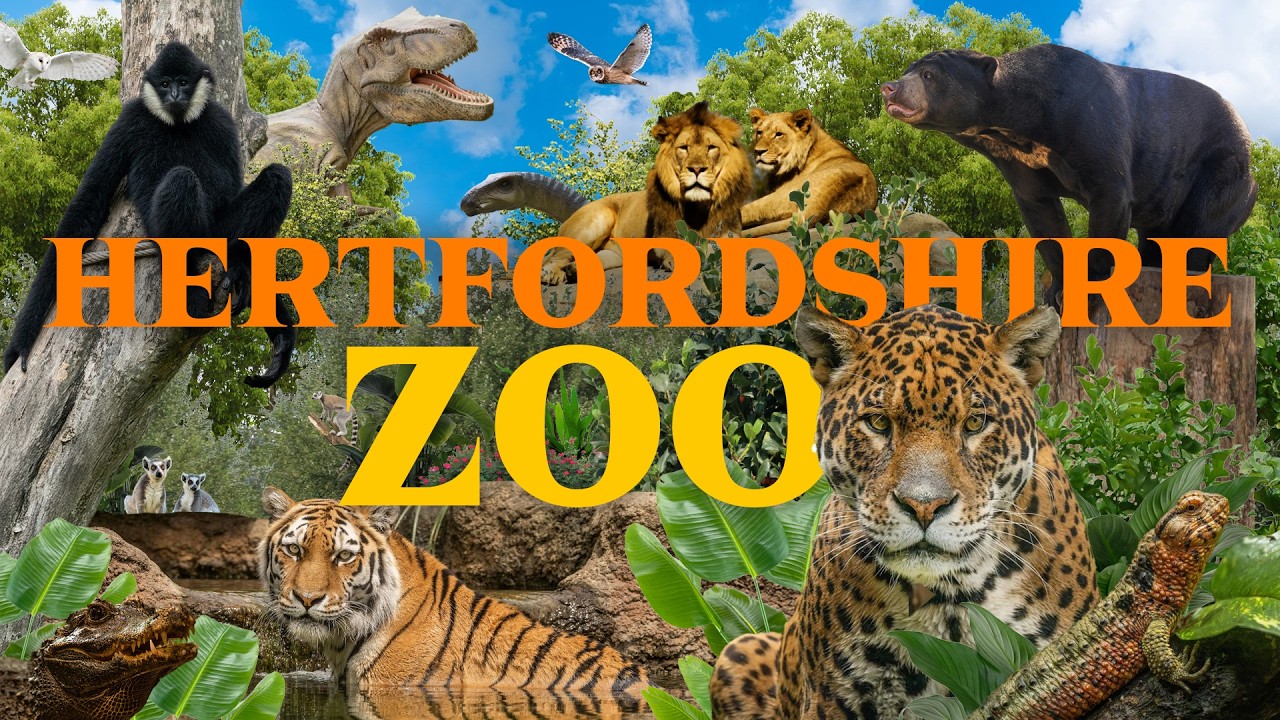 One of the Most Underrated Zoos in the UK? | Hertfordshire Zoo