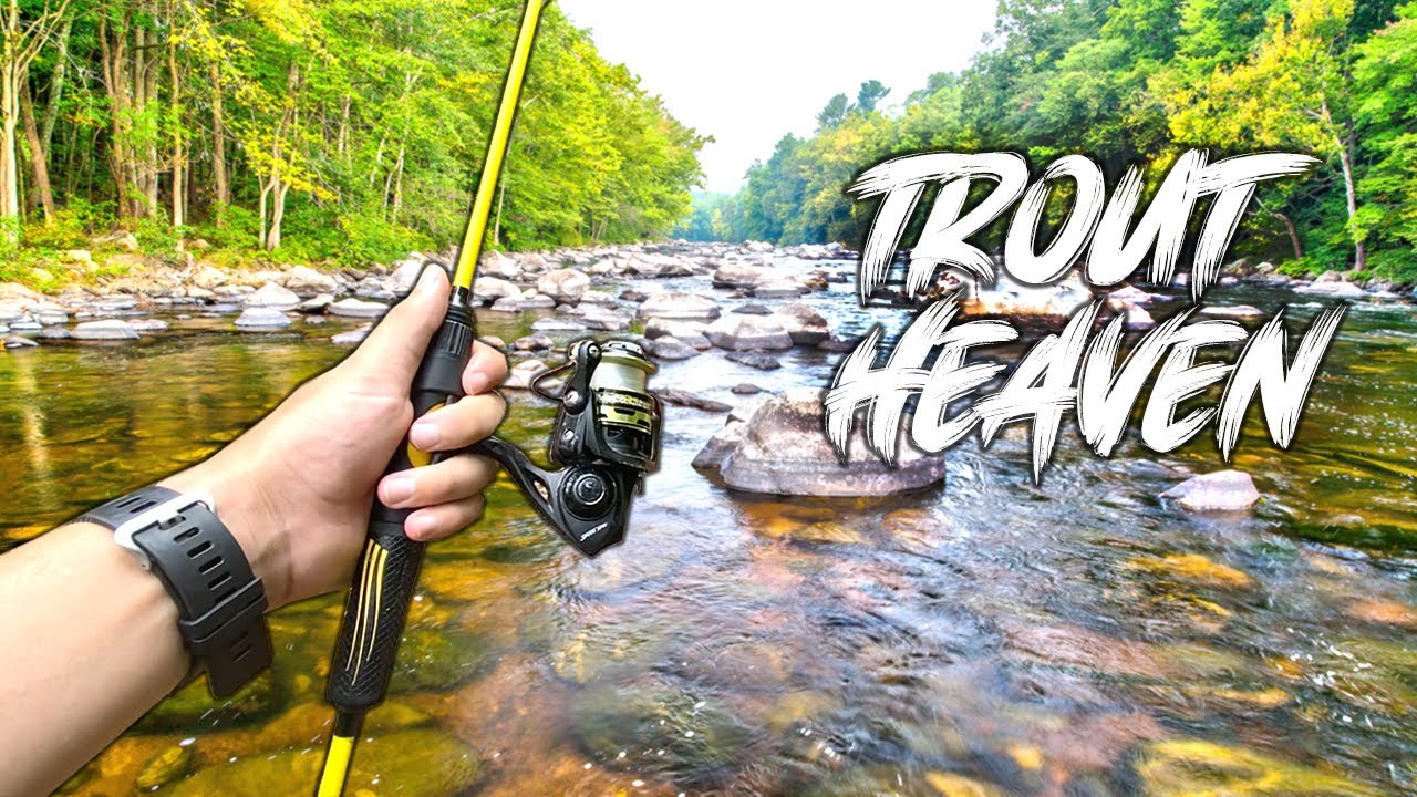 This is Trout Fishing Heaven