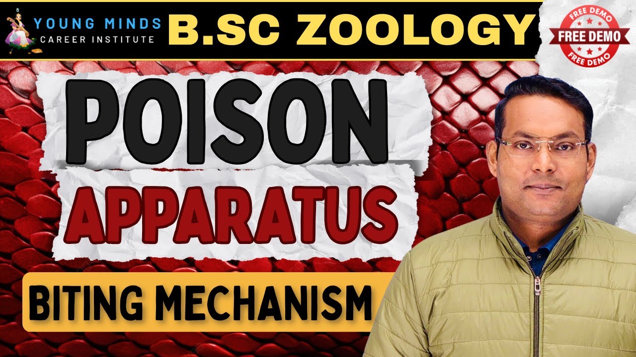 Poison Apparatus and Biting Mechanism in Snakes | B.Sc Zoology