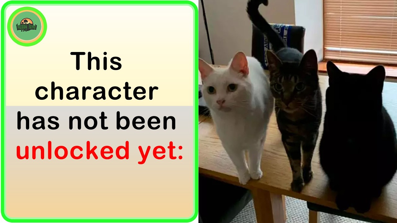 Hilarious Cat Memes That Are Too Good Not to Share