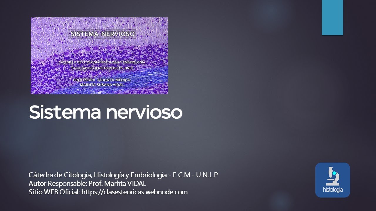 SISTEMA NERVIOSO
