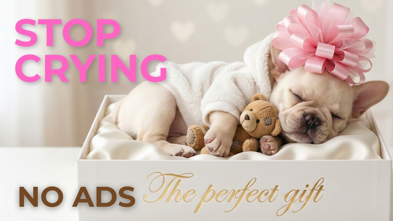 12H Separation Anxiety & Deep Sleep Dog Music 💖 528Hz Love freq for Puppies (Stop Crying) No Ads
