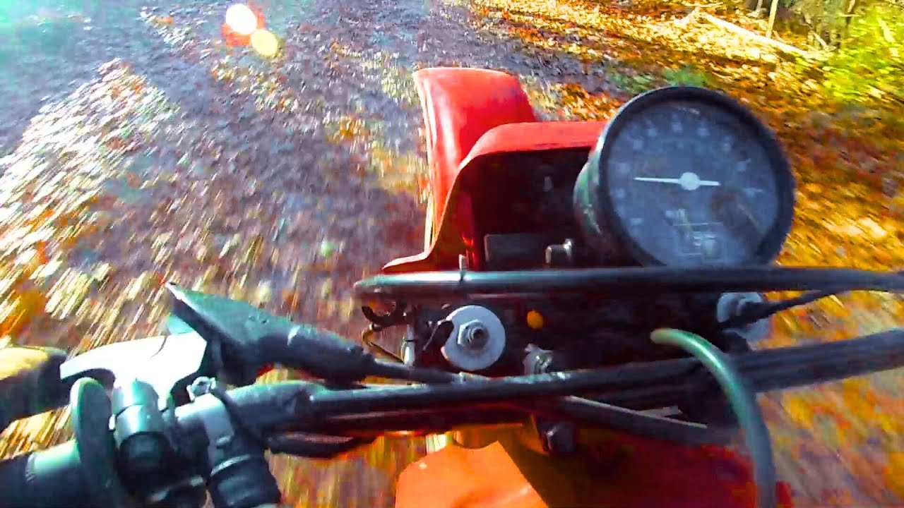 Going FAST Through Michigan Trails on my 1982 XR200R