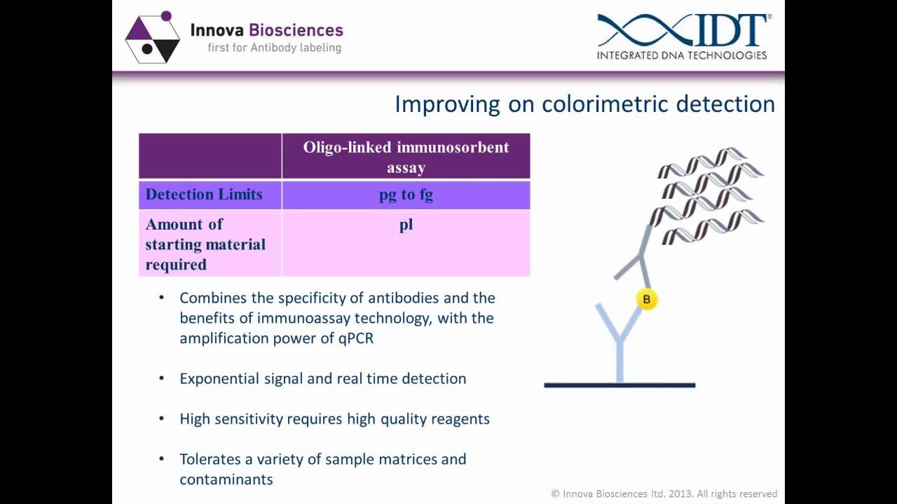 Antibody-Oligo Conjugation Webinar: An application guide