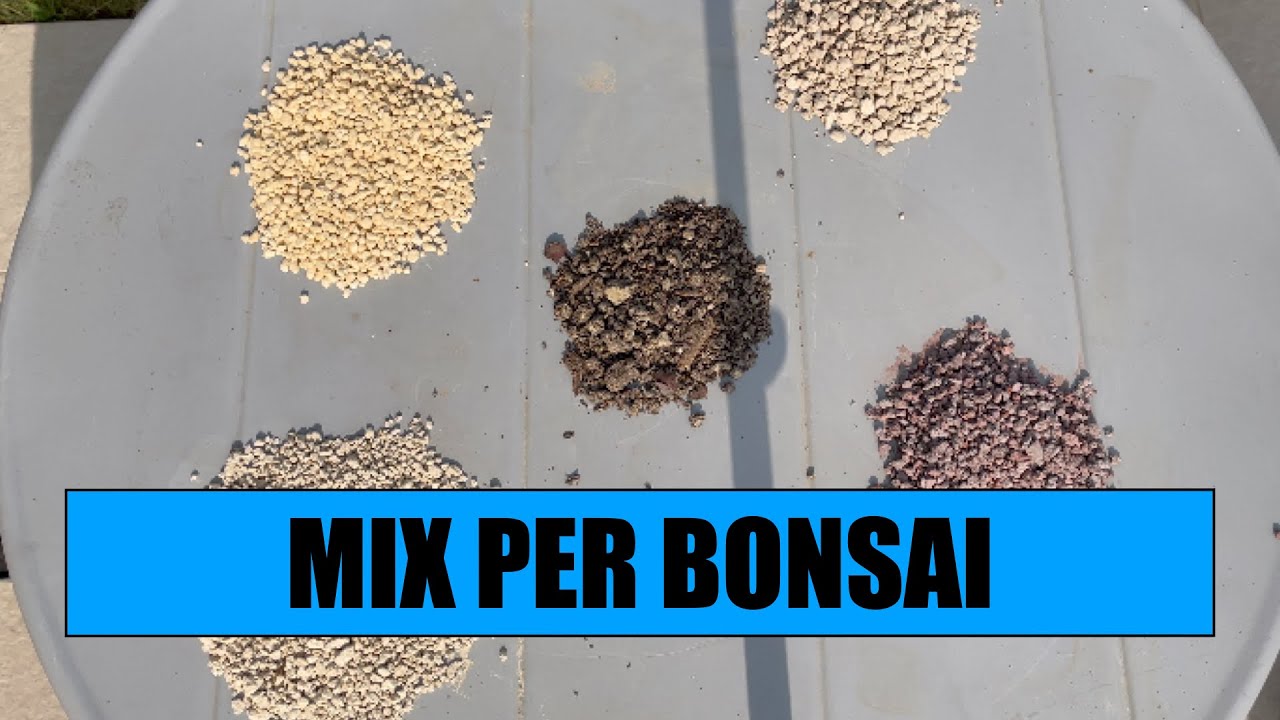 CREO IL MIO SUBSTRATO PER BONSAI - Più micorrize