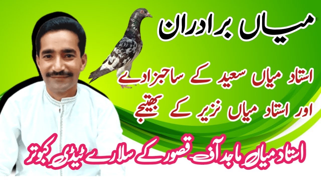 Ustad Mian Majid Of Kasur K Slary Taddy Kabutar || Taddy kabutar Ustad Mian Nazeer
