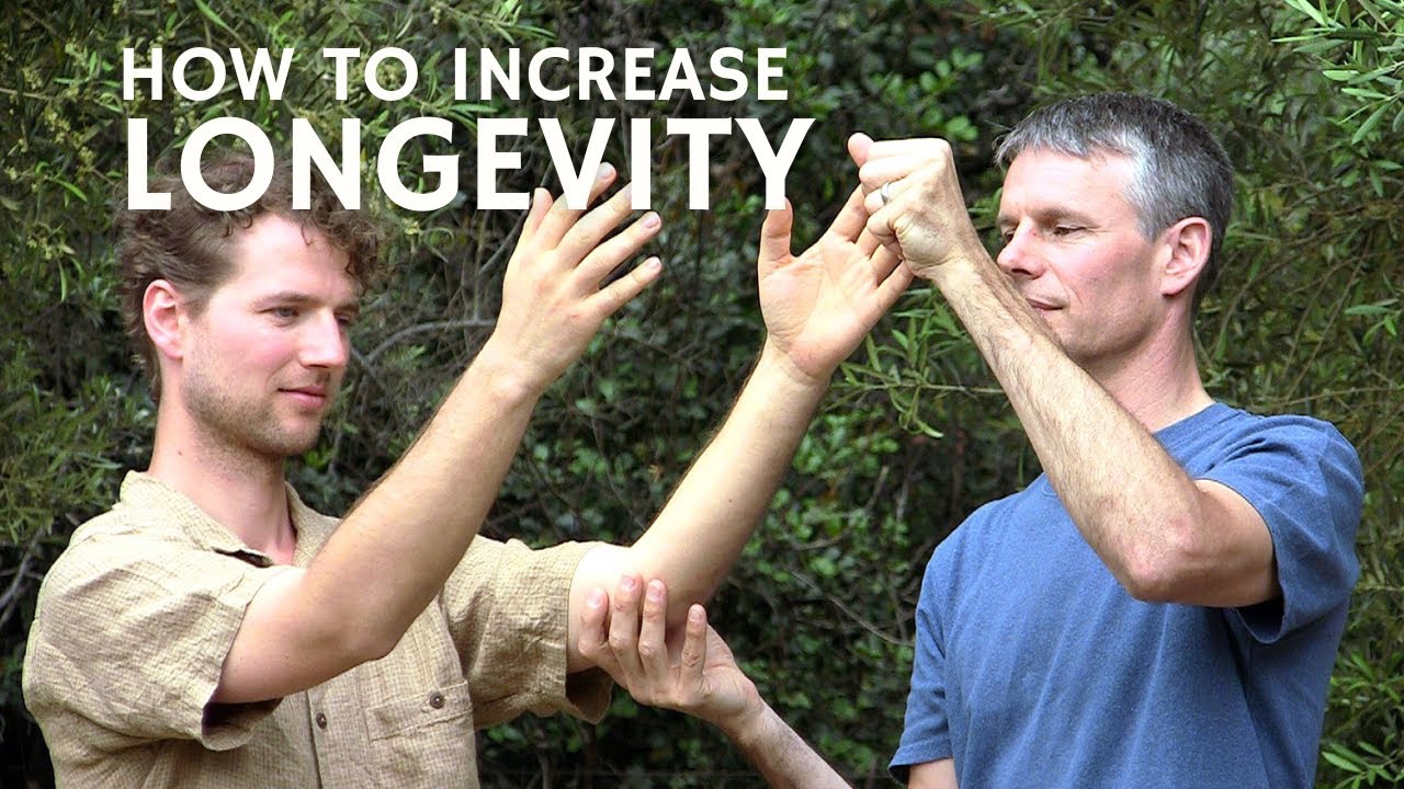 Modern Exercise vs. Neigong for Health & Longevity