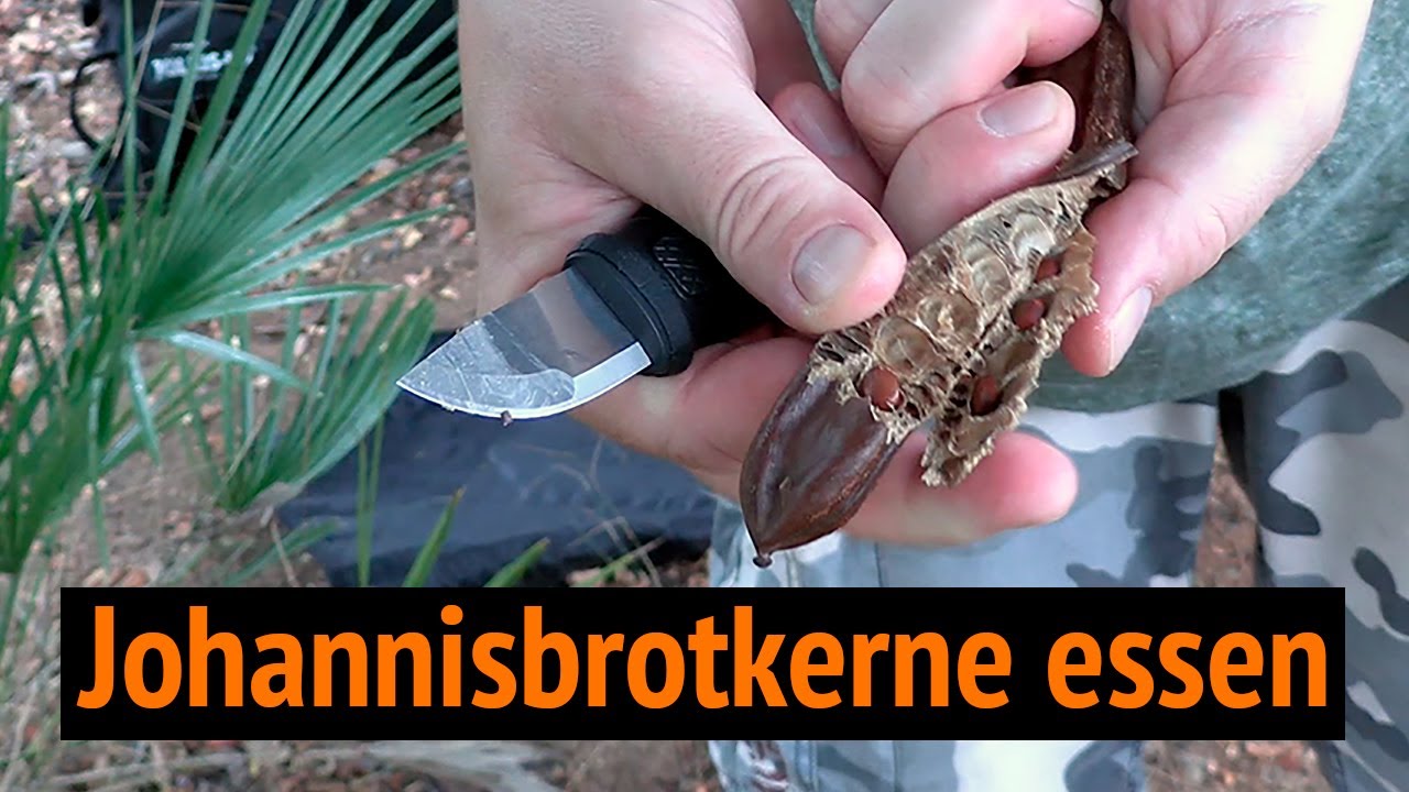 Johannisbrotkerne essen: Geheimrezept!