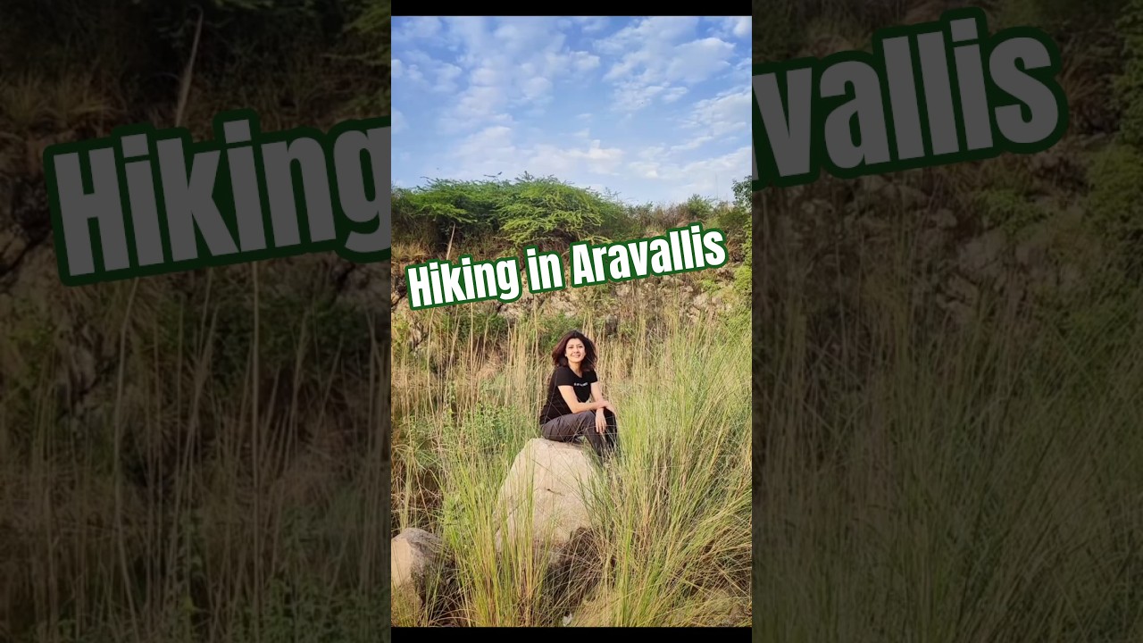 Save Aravallis! The Green Shield of Gurgaon 🌿 - Our Only Hope! #aravallihills #naturelovers #hiking
