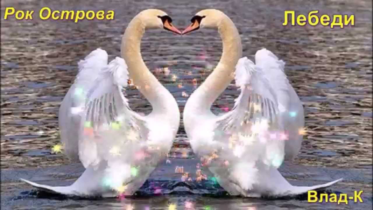 Рок Острова---- Лебеди...