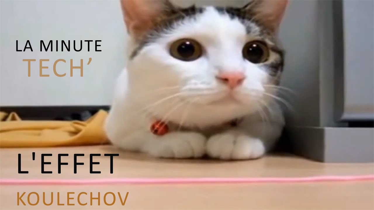 L'effet Koulechov