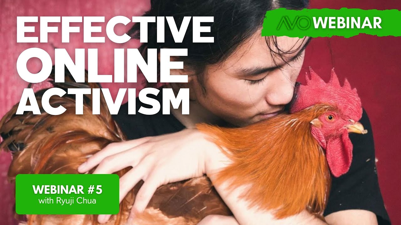 AVO Webinar #5 - Ryuji Chua - Effective Online Activism