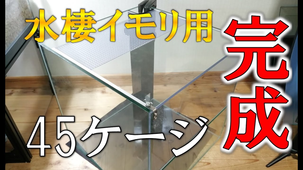 【水棲イモリ用完成】45cm水槽をケージに改良します！！DIY【アカハライモリのパルダリウム,ビバリウム,paludarium vivarium】