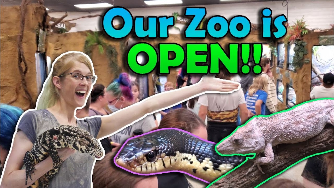 ТОРЖЕСТВЕННОЕ ОТКРЫТИЕ Snake Discovery!! (Обновление здания №20)