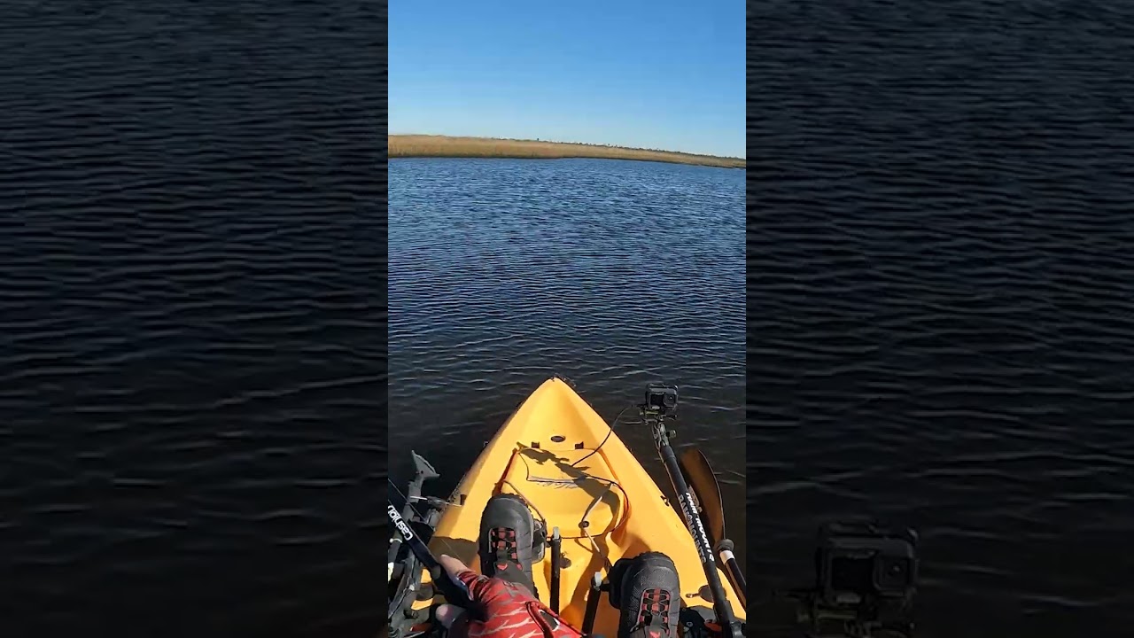 What The PERFECT Redfish Habitat Looks Like