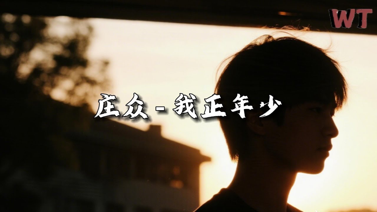 庄众 - 我正年少『踏平山海 万千重 归来仍是一身痴，怕什么 江湖老 我正年少 正狂时。』【动态歌词MV】