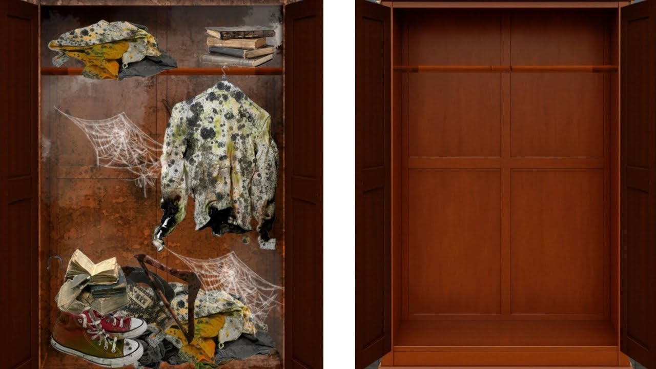 From Moldy Mess to Spotless Wardrobe | Extreme Closet Cleaning Transformation