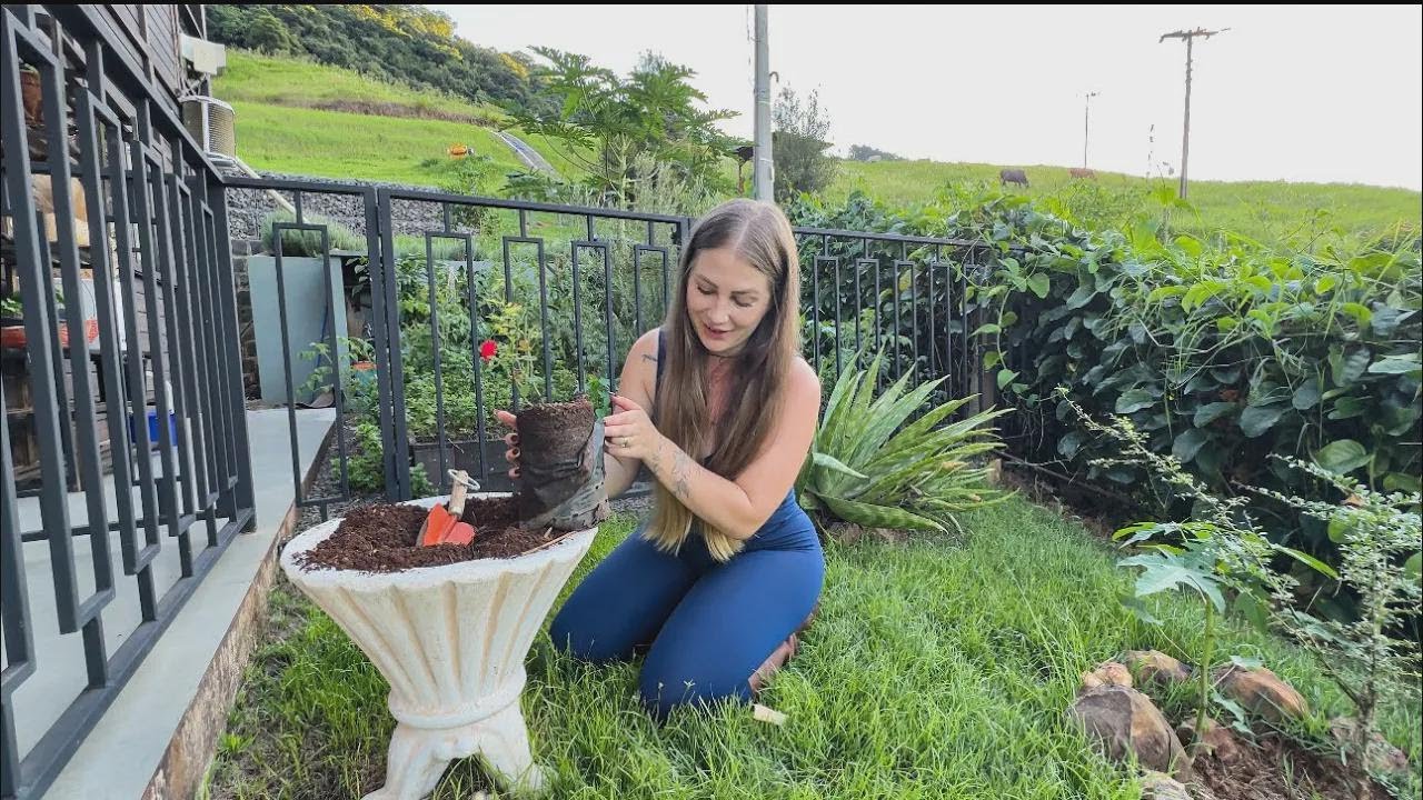 Transforming My Dream Garden with Brand New Plants—It’s Going to Look Amazing!