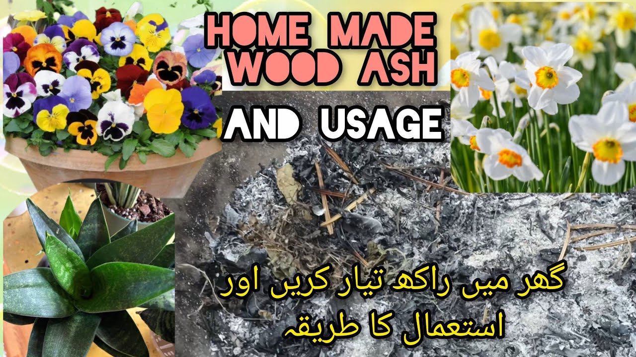 Home made wood ash and their usage/  how and when to use// Bloom with SI 