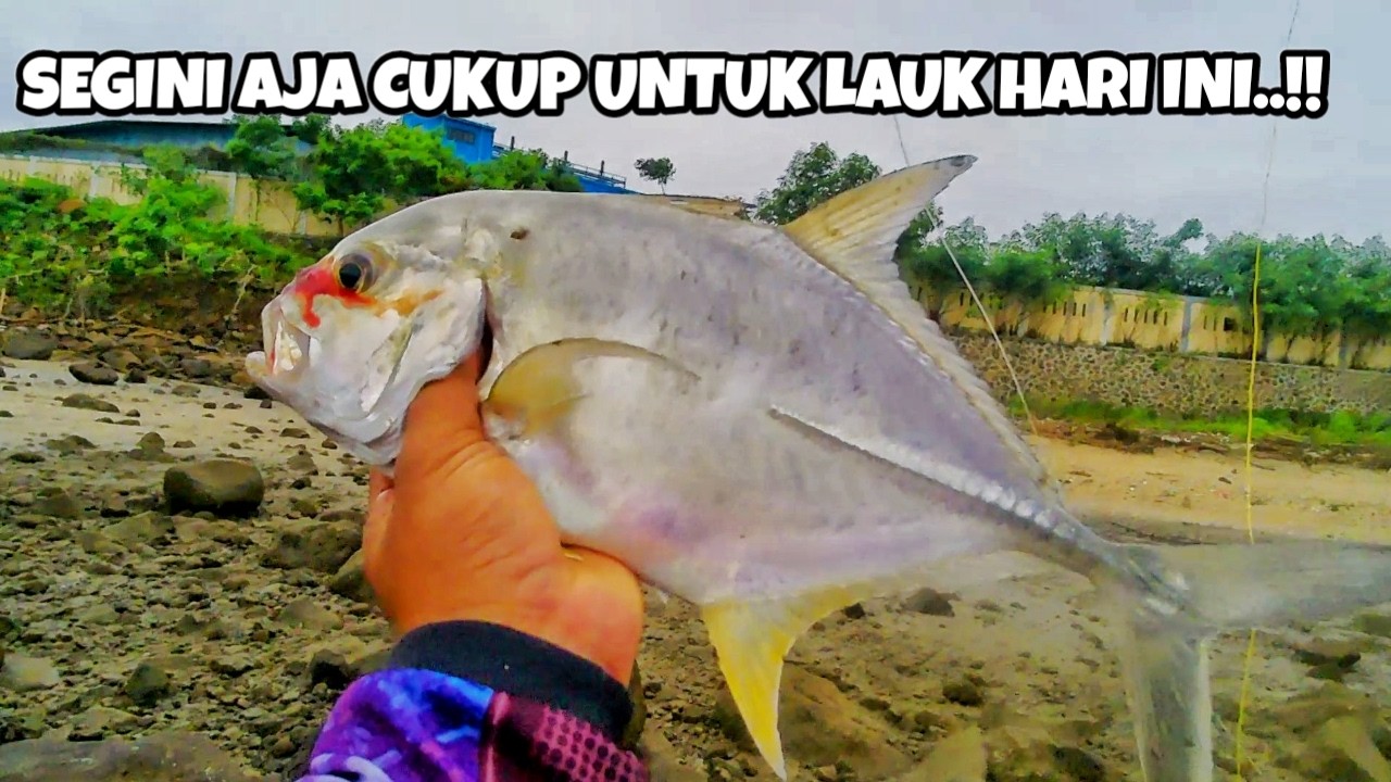 Mancing Santai Cari Lauk - Pauk Pagi Hari !! Ultralight Casting Satu Umpan Vs Satu Ikan.