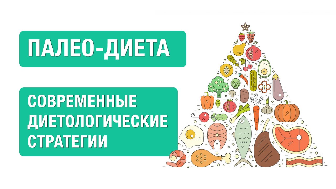 ПАЛЕО-РАЦИОН. Современные диетологические рекомендации.